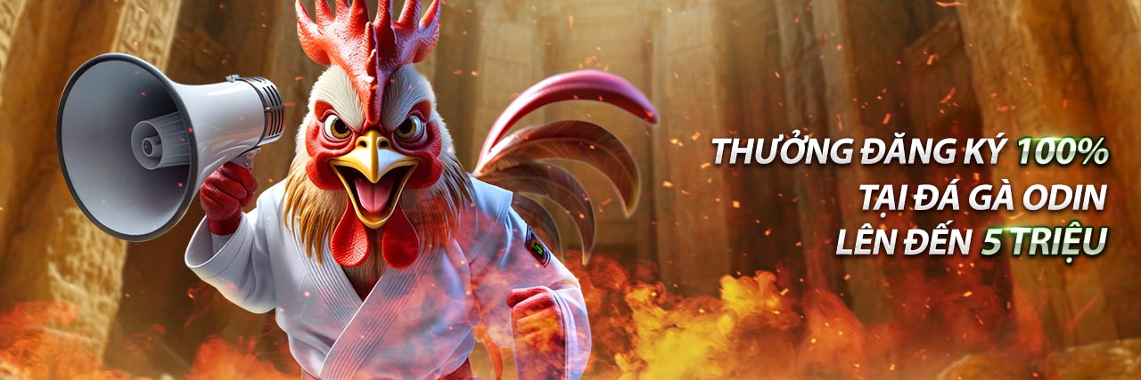 Nghiên cứu gà trước trận đấu để cá cược hiệu quả